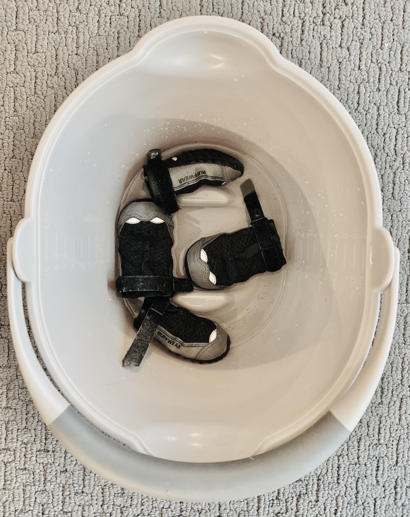 Photo of dog booties inside of a white bucket