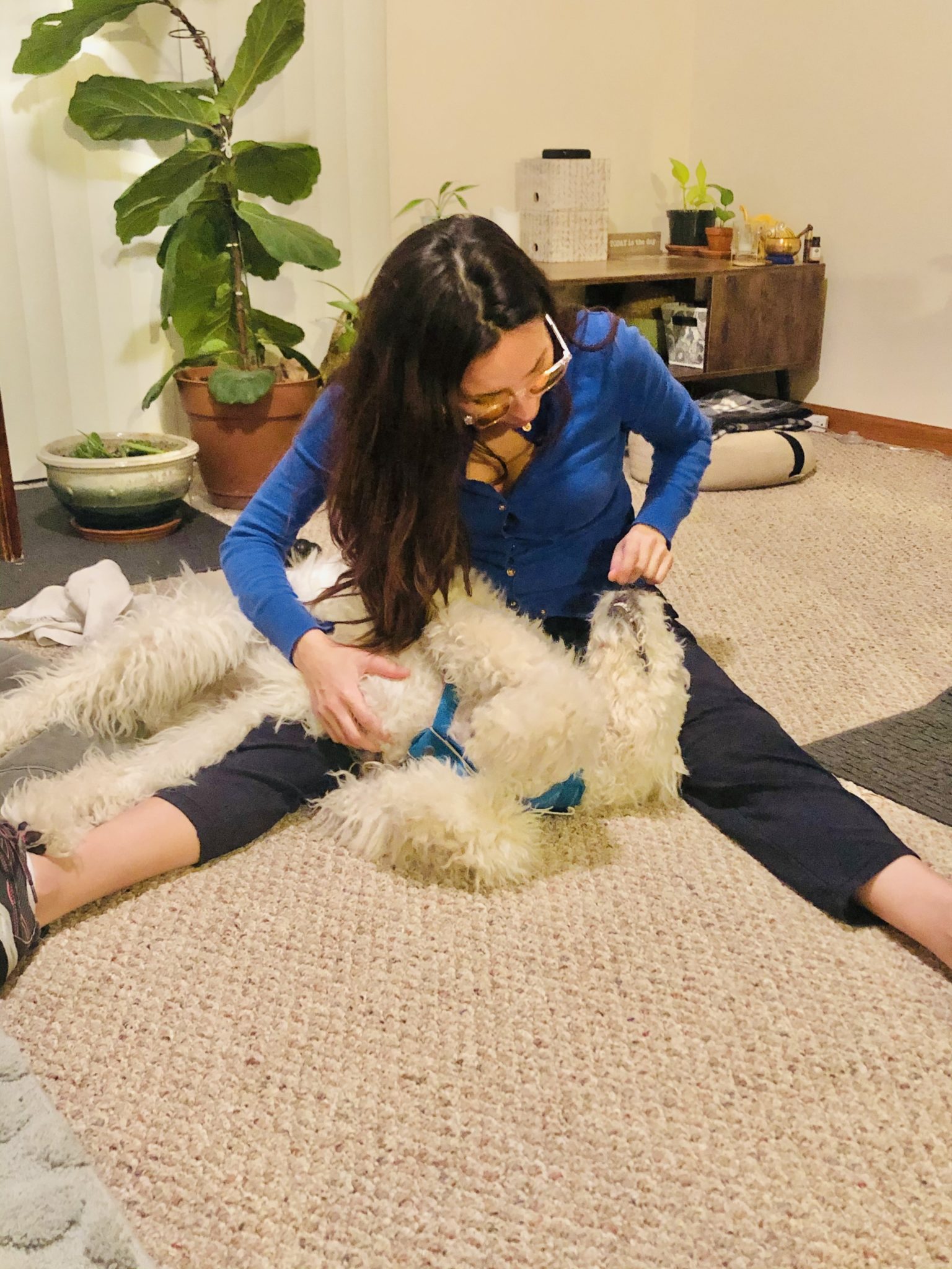 Photo of Morghan Velez on the floor with her dog (white doodle), which is laying upside down in her lap