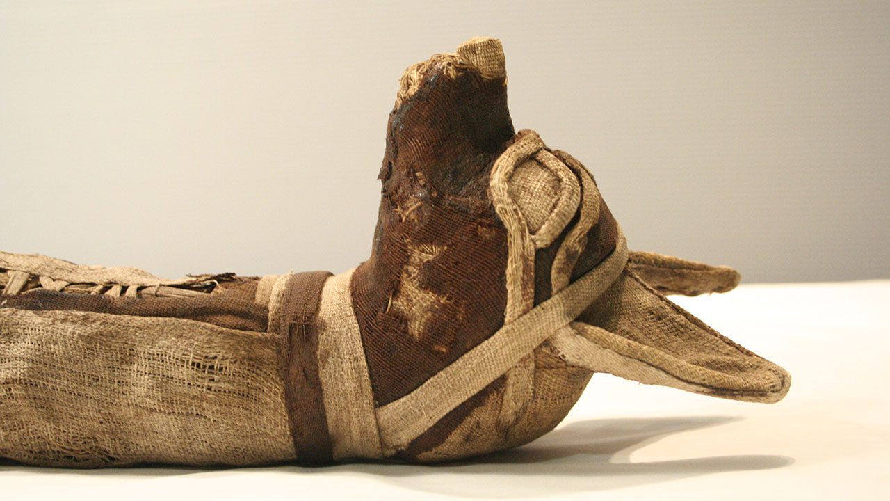 Photo of mummified dog wrapped in brown and tan linens